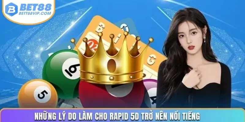 Những lý do làm cho Rapid 5D trở nên nổi tiếng